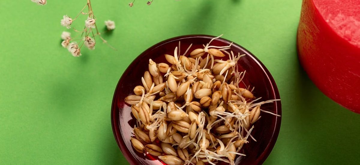Sprouted seeds in a red bowl on green background with white flowers and red candle.