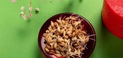 Sprouted seeds in a red bowl on green background with white flowers and red candle.
