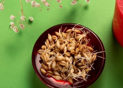 Sprouted seeds in a red bowl on green background with white flowers and red candle.