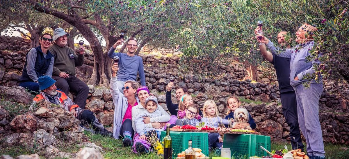 A joyful family gathering in an olive grove enjoying a picnic with wine toasts.