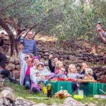 A joyful family gathering in an olive grove enjoying a picnic with wine toasts.