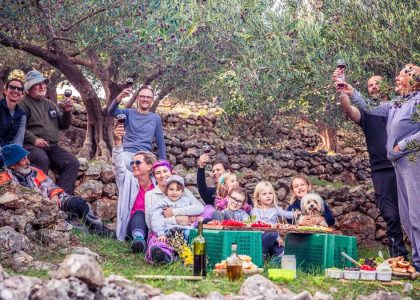 A joyful family gathering in an olive grove enjoying a picnic with wine toasts.
